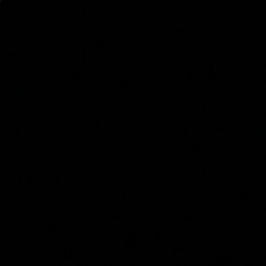 Meet your Posher, Parise